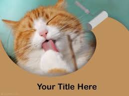 Free Animals Wildlife Powerpoint Templates Themes Ppt Free Ppt Template Templates Ppt Template