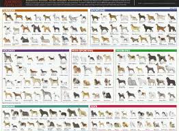 breeds of different animals on amazing charts earthly mission