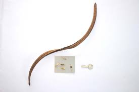 Image result for Markhamia tomentosa