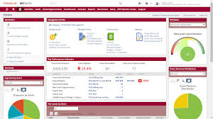 To account for deletes in netsuite, stitch's netsuite integration offers a table named deleted. Nonprofit Accounting Financial Management Software Netsuite