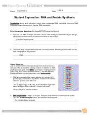 Preguntas y respuestas de examen de manejo en kentucky; Rnaproteinsynthesisse Pdf Megan Harris Name Date Student Exploration Rna And Protein Synthesis Vocabulary Amino Acid Anticodon Codon Gene Messenger Course Hero