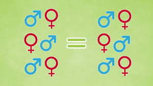 Dès 1918, ce dernier établit une liste de 14 points sur lesquels les nations doivent s'entendre. Municipales Quel Est Le Role Du Maire