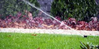 Correct lawn watering during summer depends on a variety of factors. Fall Tip The Importance Of Watering Your Lawn Nutri Green Tulsa