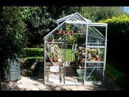 Take a cutting from a healthy cactus. My Cacti Succulent Greenhouse Collection Autumn 2013 Youtube
