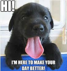 Image result for hi meme