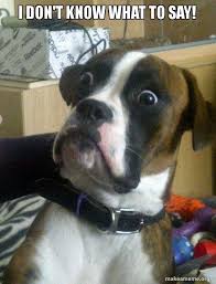 I Don T Know What To Say Skeptical Dog Make A Meme