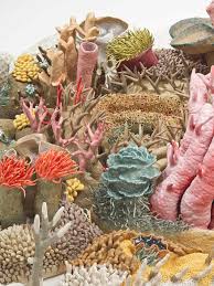 Ausmalbilder korallen malen und zeichnen als hobby fische im meer mit korallen ausmalbilder fische ausmalen pin auf coloring pages ausmalbilder fur kinder mit unterwasser szenen stoff meterware kingdom hearts ausmalen ausmalbilder fur kinder mit unterwasser szenen snow leopard tischset in koralle. Koralle Grohe