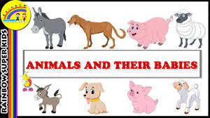 Animals and their young young cow a calf young lion a cub young kangaroo a joey. Animals And Their Young Ones Animals Their Babies Best Learning Videos Youtube