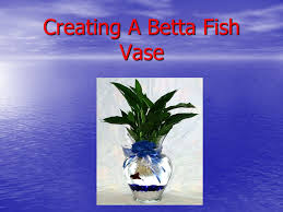 Like us, your betta fish can be psychologically effected by their environment and home, which can have both a positive or negative effect on your little friends stress an option around this would be to use a vase with a central core that would keep the plant separate from the water for your betta fish. Creating A Betta Fish Vase Supplies Needed Colored Gemstones Fish Food Ppt Download