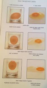 Pin On Make Basics