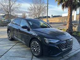 Image result for Mythos Black 2024 Q8