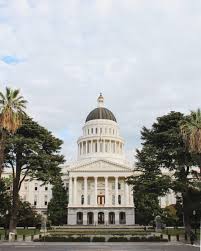 Check spelling or type a new query. The City Of Trees Sacramento Travel Guide Petite Suitcase