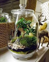 Bonsai Lovers Forest In Jar Flowers Home Design Mossarium Terrarium Mossdesign In 2020
