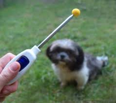 We considered current public health conditions and the personal service we provide to our clients, in group lessons and in private sessions. Helping Owners Of Pets Through Education Hope Pet Training Springfield Va Phone Number