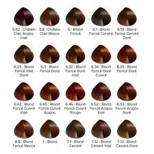 Welcome on l'oréal professionnel official site. Tube Coloration Majirel L Oreal Professionnel Pas Cher Cartes De Couleurpour Les Cheveux Coloration Chatain Clair Chatain Clair Dore