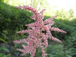 We did not find results for: Valley Of Flowers Exploring The Unexplored