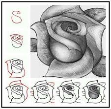 How Ro Draw A Rose Drawings Drawing Tutorial Sketches