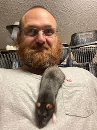 I'm assuming a lot of y'all probably breed your own rodents so I thought  you might find this info useful!