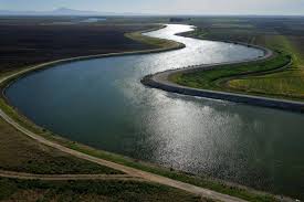 Delta Ecosystem Is In A Constant State Of Change The Sacramento Bee