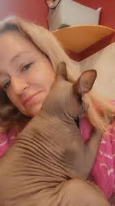 Dobby the Sphynx cat's pouch: Understanding the droopy skin