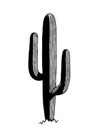 Aesthetic Black And White Cactus Drawing Saguaro Cactus Vector Art Illustration Cactus Illustration Cactus Vector Cactus Drawing