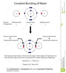 Diagram To Illustrate Covalent Bonding In Water With A Fully