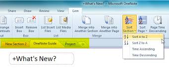 Use ctrl + t (windows) or command + t (mac) keyboard shortcut to add a new section. Collect Commonly Used Onenote 2010 Options Functions In Single Tab Gem