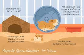 It is also spacious enough to comfort your active hamster. Choosing The Best Cage For Your Syrian Hamster
