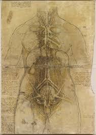 Leonard de vinci tableau dessin leonard de vinci peinture renaissance renaissance italienne histoire de la peinture histoire de l'art cadre image toile de maître reproduction de tableaux. Leonard De Vinci Artiste Et Scientifique Simplyscience