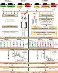 Scopri ricette, idee per la casa, consigli di stile e altre idee da provare. Integrated Cellular And Plasma Proteomics Of Contrasting B Cell Cancers Reveals Common Unique And Systemic Signatures Molecular Cellular Proteomics