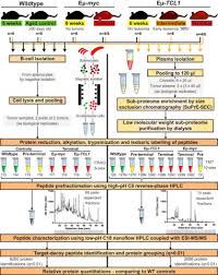 Also find setup troubleshooting videos. Integrated Cellular And Plasma Proteomics Of Contrasting B Cell Cancers Reveals Common Unique And Systemic Signatures Molecular Cellular Proteomics