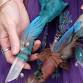 Wand Making Workshop