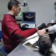 Planul de afaceri reprezinta harta calatoriei tale ca antreprenor. Maravet Portal