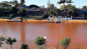 Gold Coast residents claim 'blood red' canal caused by dewatering at Palm  Beach development - ABC News