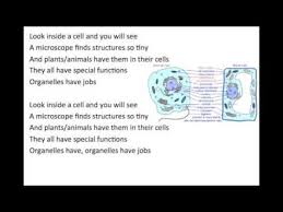 Organelles Song Organelles Teaching Cells Human Body Unit Study
