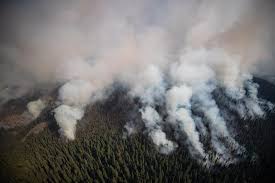 Jul 04, 2021 · the bc wildfire service is anticipating troops from the canadian armed forces to arrive in the coming days as new wildfires continue to ignite due to hot, dry conditions across the province's. Ev4bv 72ccjnpm