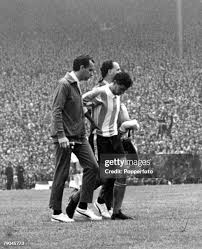 15 Rafael Albrecht Stock Photos, High-Res Pictures, and Images