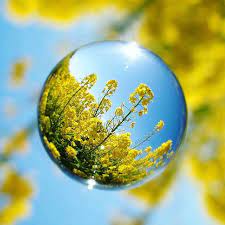 capture nature in gorgeous spherical wide angle what a stunning shot by kizaken 44river crystal photography reflection photography lens ball photography