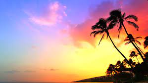 Free for commercial use high quality images 4k Incredible Sunset Tropical Beach Stock Footage Video 100 Royalty Free 15772012 Shutterstock