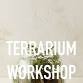 Terrarium Workshop