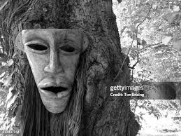 942 Tree Ton Stock Photos, High-Res Pictures, and Images