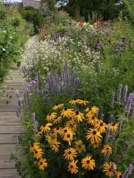 We provide pollinator plants for sale that are a crucial part of a healthy and sustainable garden environment. Designing A Stylish Pollinator Garden Finegardening