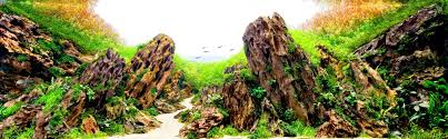 Stonehenge is famous for its alignments with the sun, with thousands of people gathering at the site to witness midsummer sunrise. The Elements Of Aquascaping Rocks Driftwood Substrates Aquascaping Love