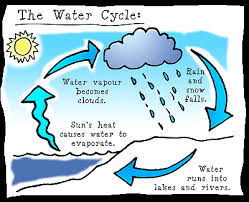 Water travels in a cycle, yes it does (use pointer finger to make a circle) water travels in a cycle, yes it does (use pointer finger to make a circle) it goes up as evaporation (move hands up in the air) forms clouds as condensation (form a cloud with your hands) Water Cycle Song Elizabeth Long