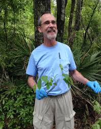 Image result for Hetaeria heterosepala