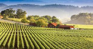 The napa inn is located in the heart of downtown napa, making our bed & breakfast the perfect accommodations for those looking for easy access to napa's top attractions. Shady Oaks Country Inn Napa Valley Bed And Breakfast Blog