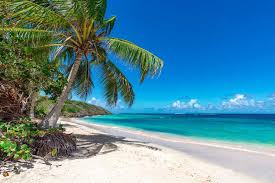 Paradise scenery of tulum at tropical coast and beach. Live Aqua Beach Resort Cancun Unveils New Aqua Club Travel Professional News