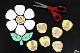 Parts of a plant & how they function video for kids. Flowering Plant Life Cycle Craftivity