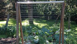 Maybe you would like to learn more about one of these? Make A Cucumber Trellis Out Of Scrap Wood Hobby Farms