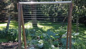 Cucumbers grow better and stay healthier when grown a diy or purchased cucumber trellis is an easy way to encourage healthy plant growth and a heavy yield way to grow: Make A Cucumber Trellis Out Of Scrap Wood Hobby Farms